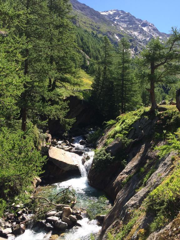 Sunstar Saas-Grund